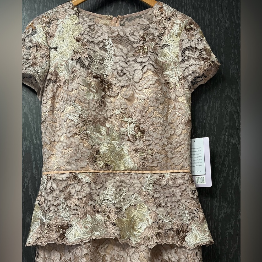 JS Collections Blush Color Lace Gown - Picture 7 of 16